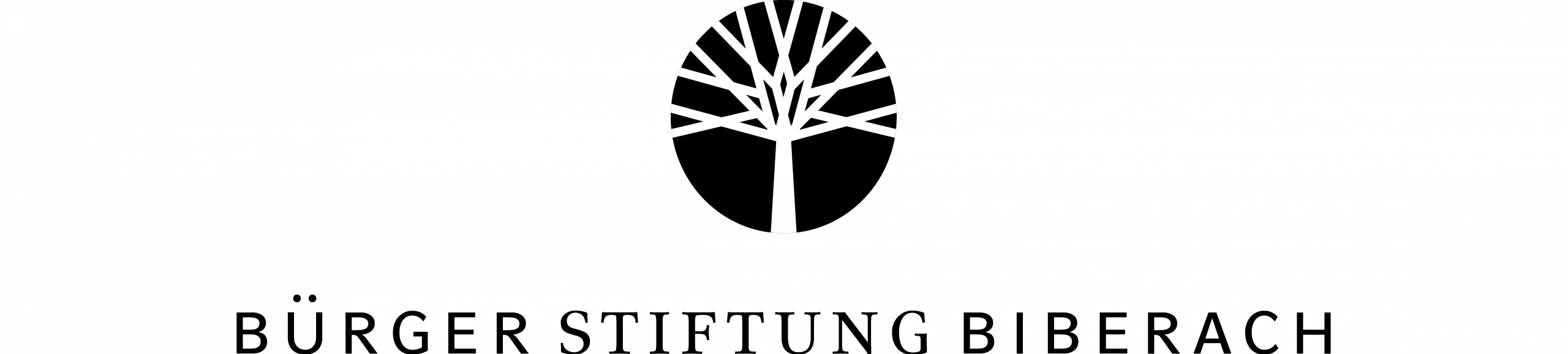 Logo Bürger Stiftung Biberach